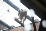 DSC_9216.JPG